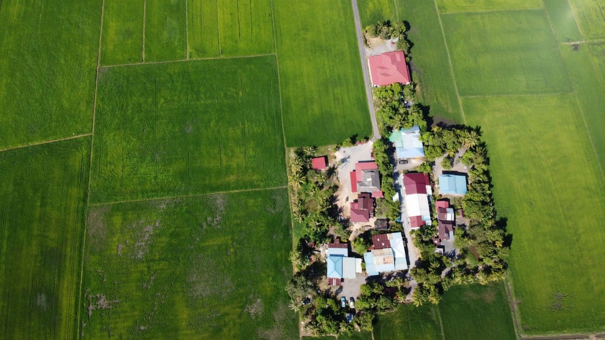 Aerial view of modern small houses built on lush land parcel amidst green rice fields in sunlight