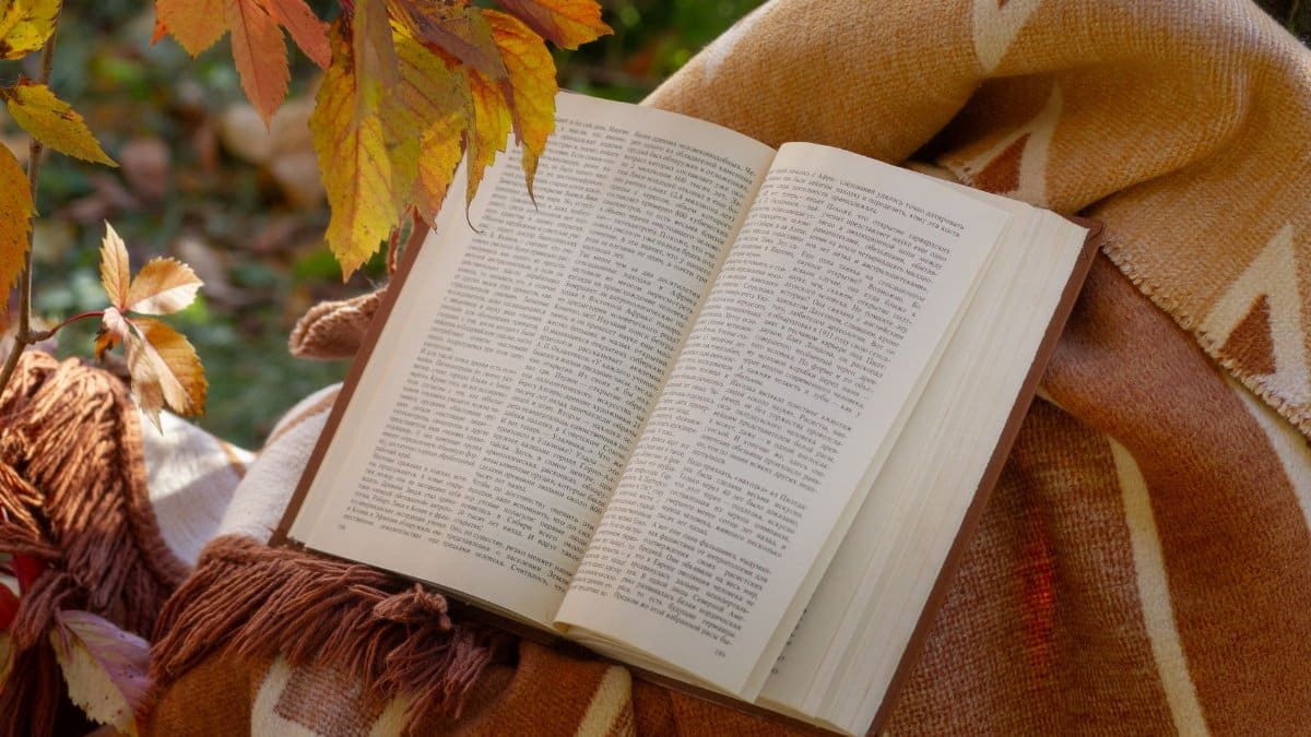Open book on a blanket surrounded by autumn leaves for a cozy seasonal reading vibe.