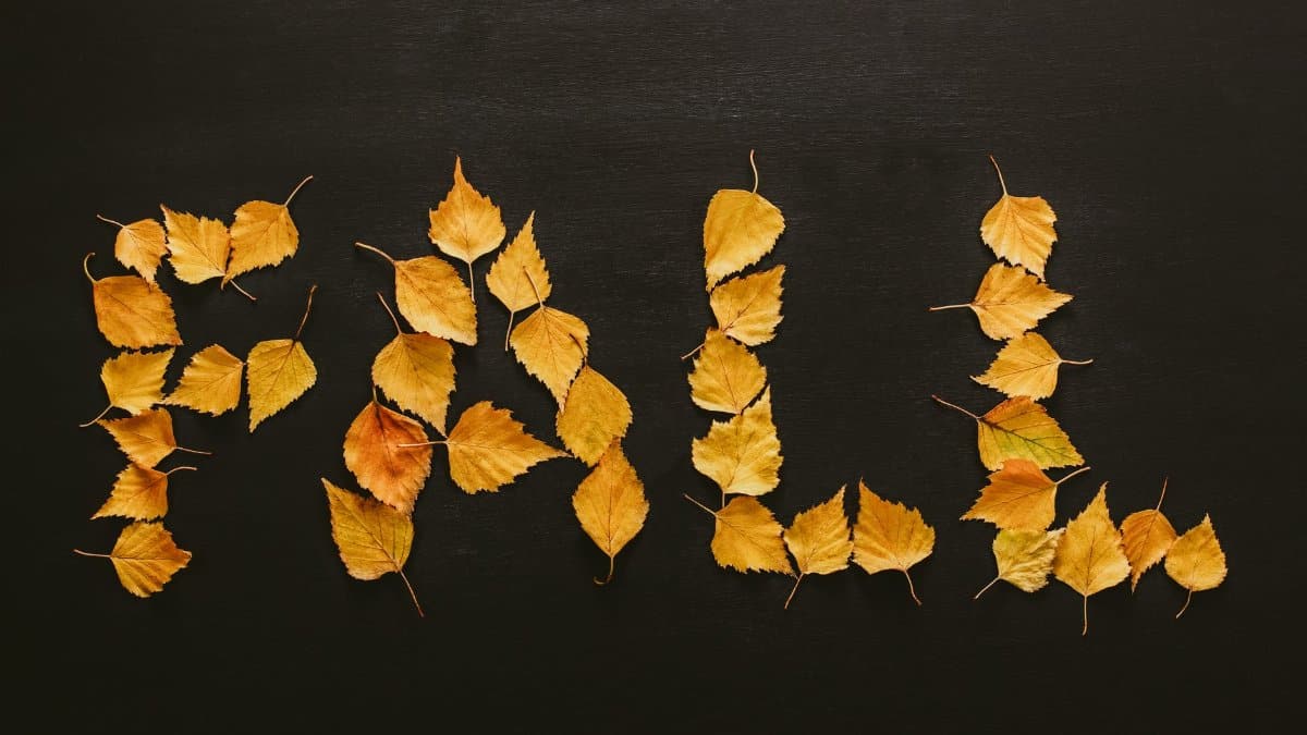 Yellow autumn leaves arranged to spell 'Fall' on a black background, symbolizing the season.