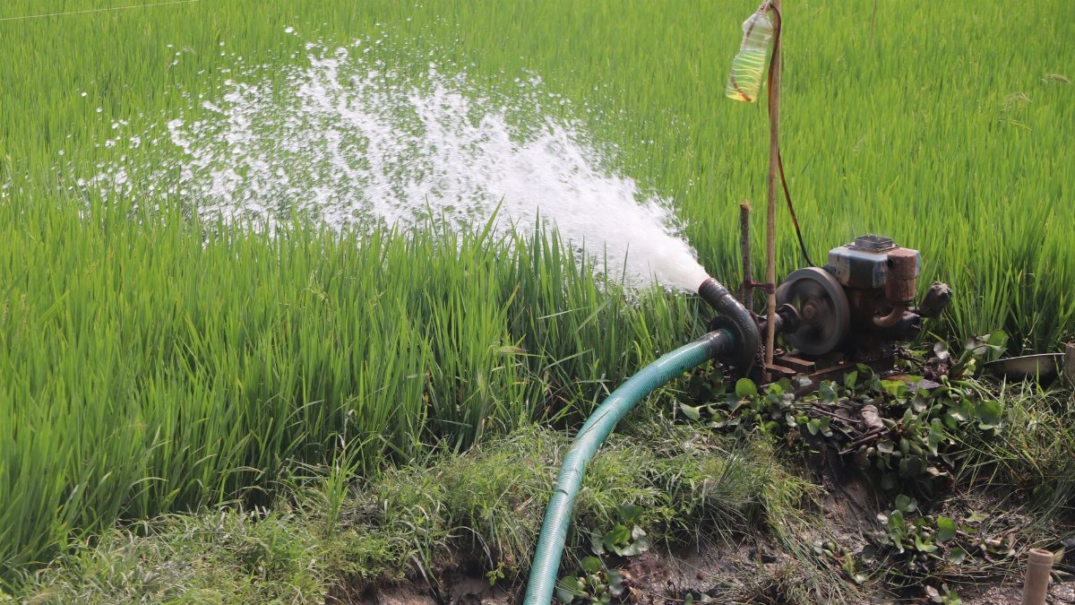 A water pump system irrigating a vibrant green rice field, promoting sustainable agriculture.