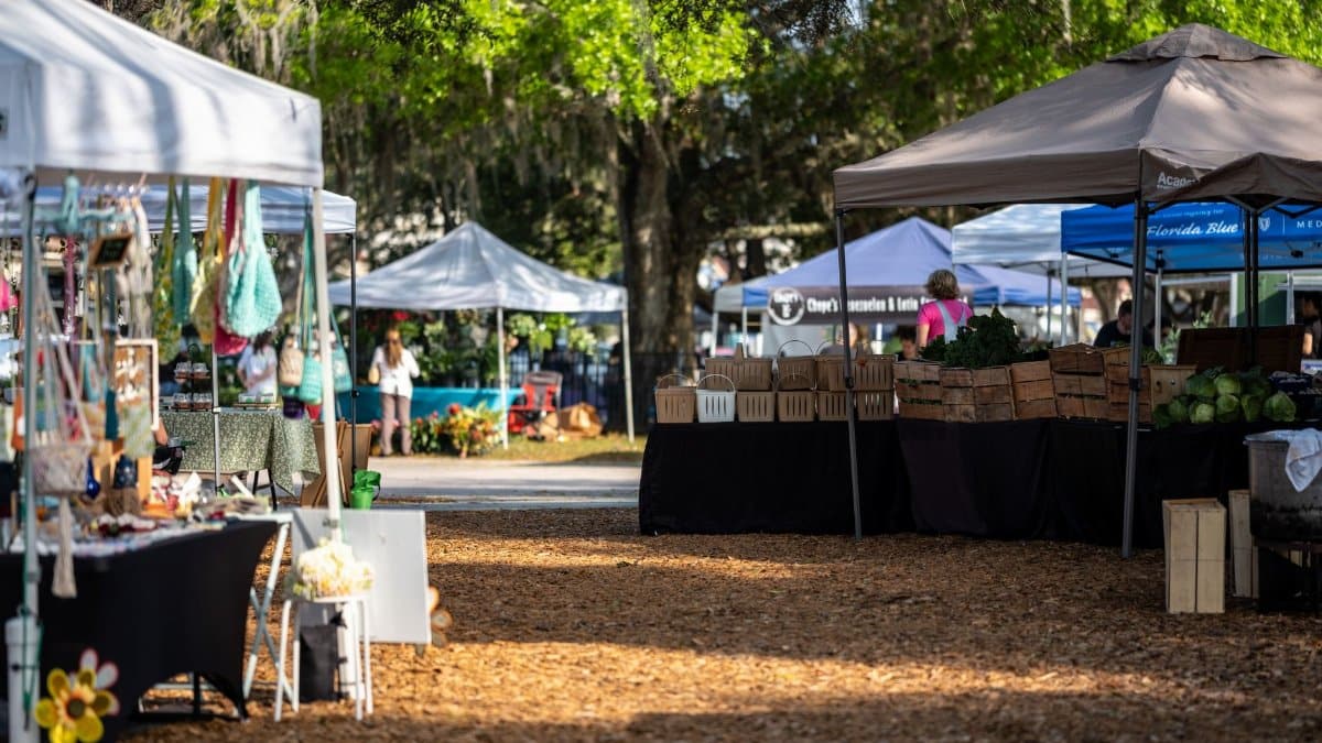 A lively outdoor market scene with vendor stalls and shoppers under trees.