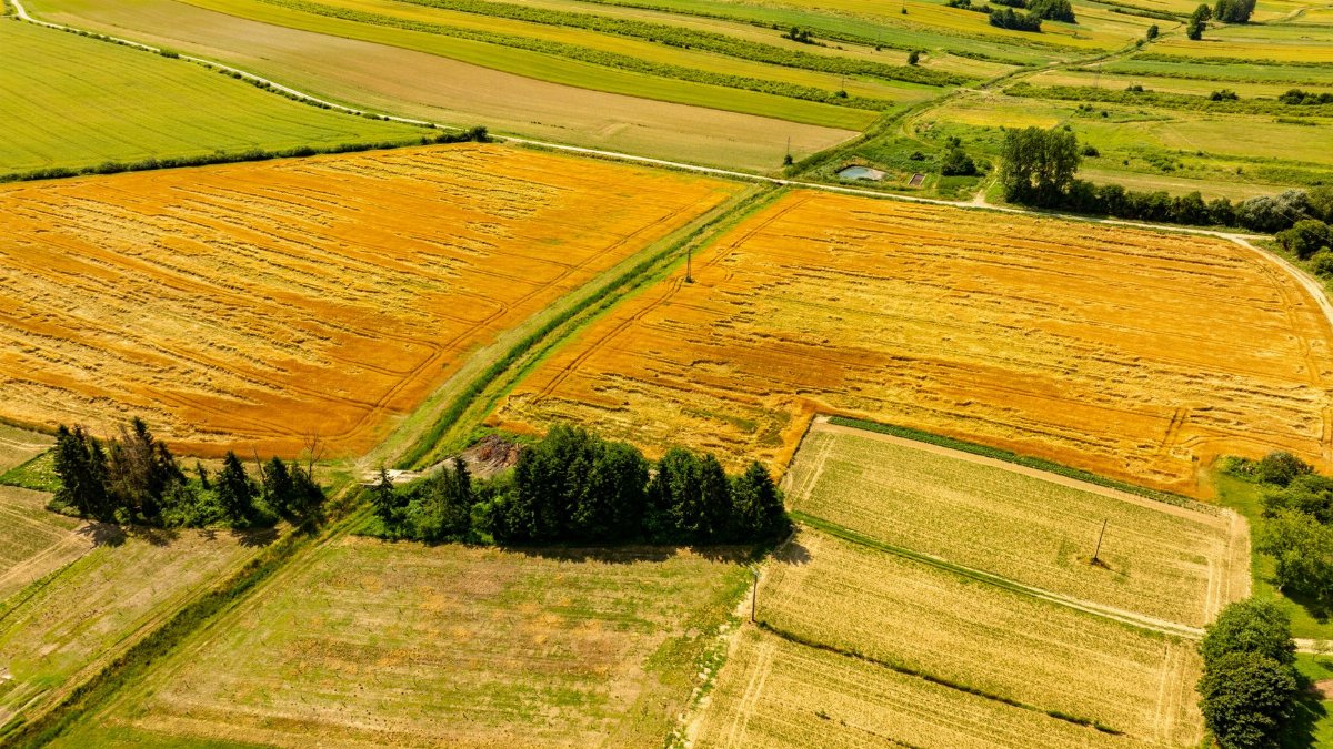 Expansive aerial view over Hercegovać's vibrant farmlands in Croatia during summer.