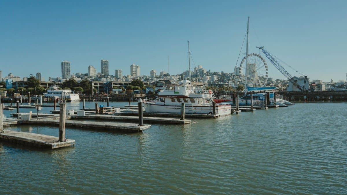 Picturesque marina at Fisherman's Wharf, San Francisco featuring boats and a ferris wheel.