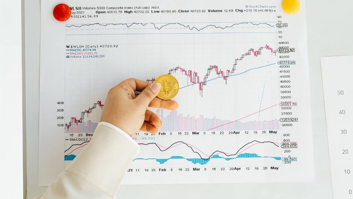 A hand holding a Bitcoin coin in front of a stock market chart, symbolizing analysis and finance.