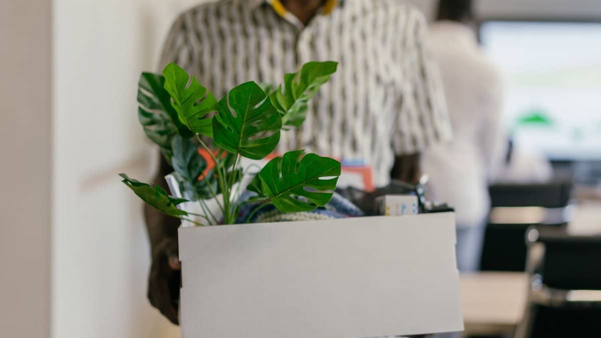 Adult man carrying office box with a plant, symbolizing job change or relocation.
