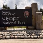 Olympic National Park entrance sign amidst lush greenery on a sunny day.