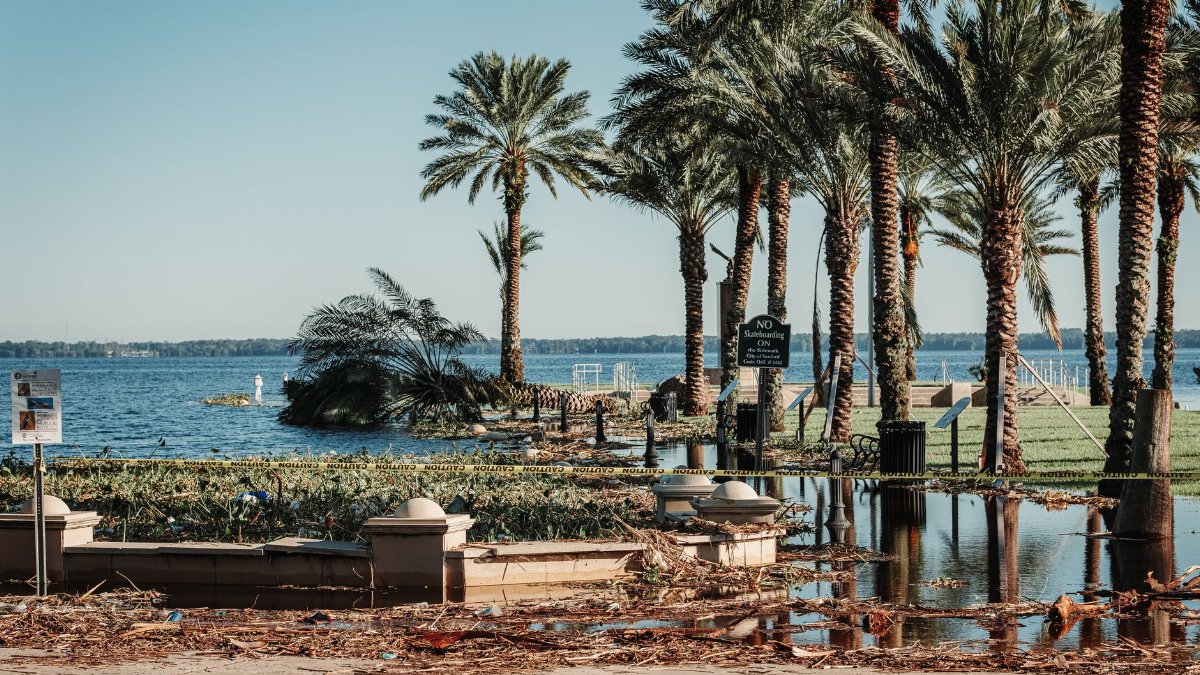 Flooded coastal area with palm trees and an occluded path post-storm damage in Florida.
