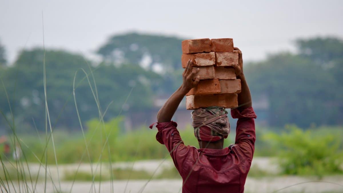 A laborer balancing bricks on their head in a rural landscape, showcasing strength and balance.