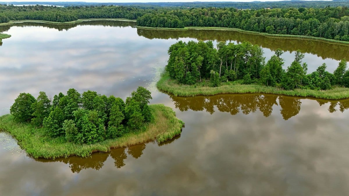 A stunning aerial view of lush islands surrounded by water in Podlaskie, Poland, during summer.