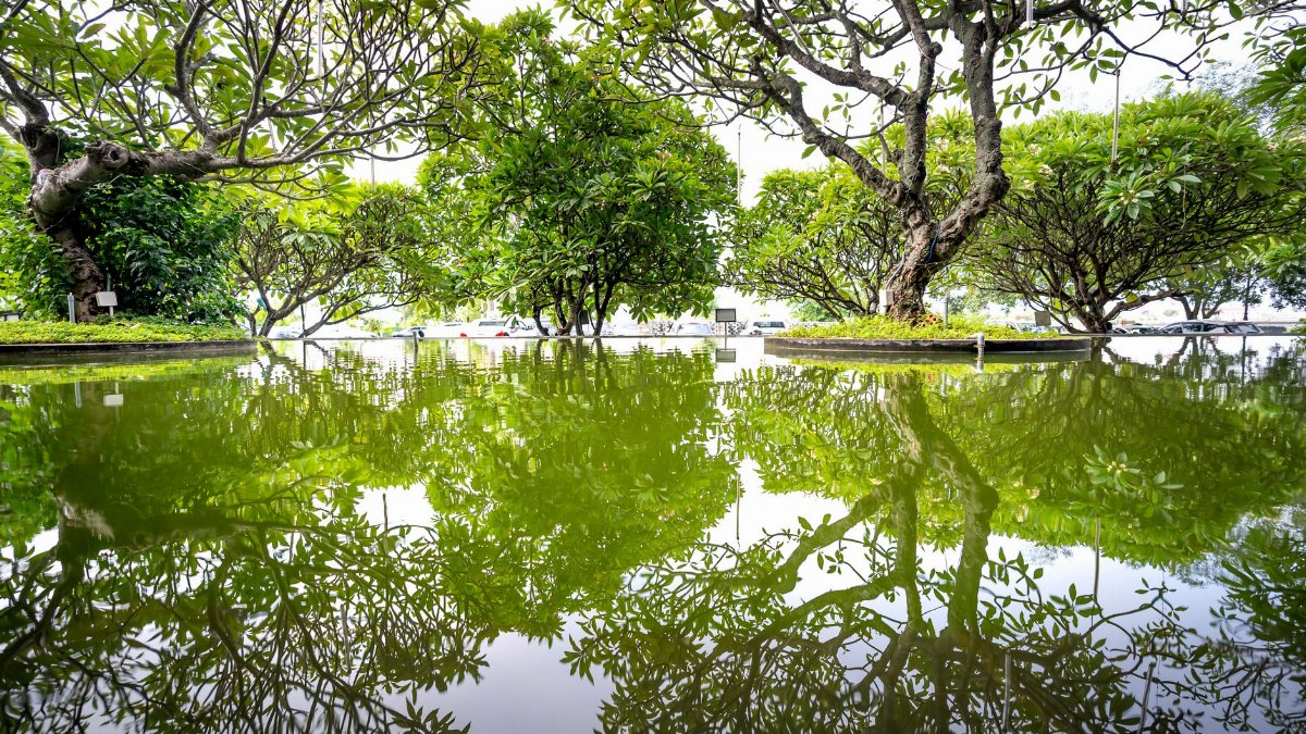 Calm landscape of trees reflecting on a serene, still water surface.