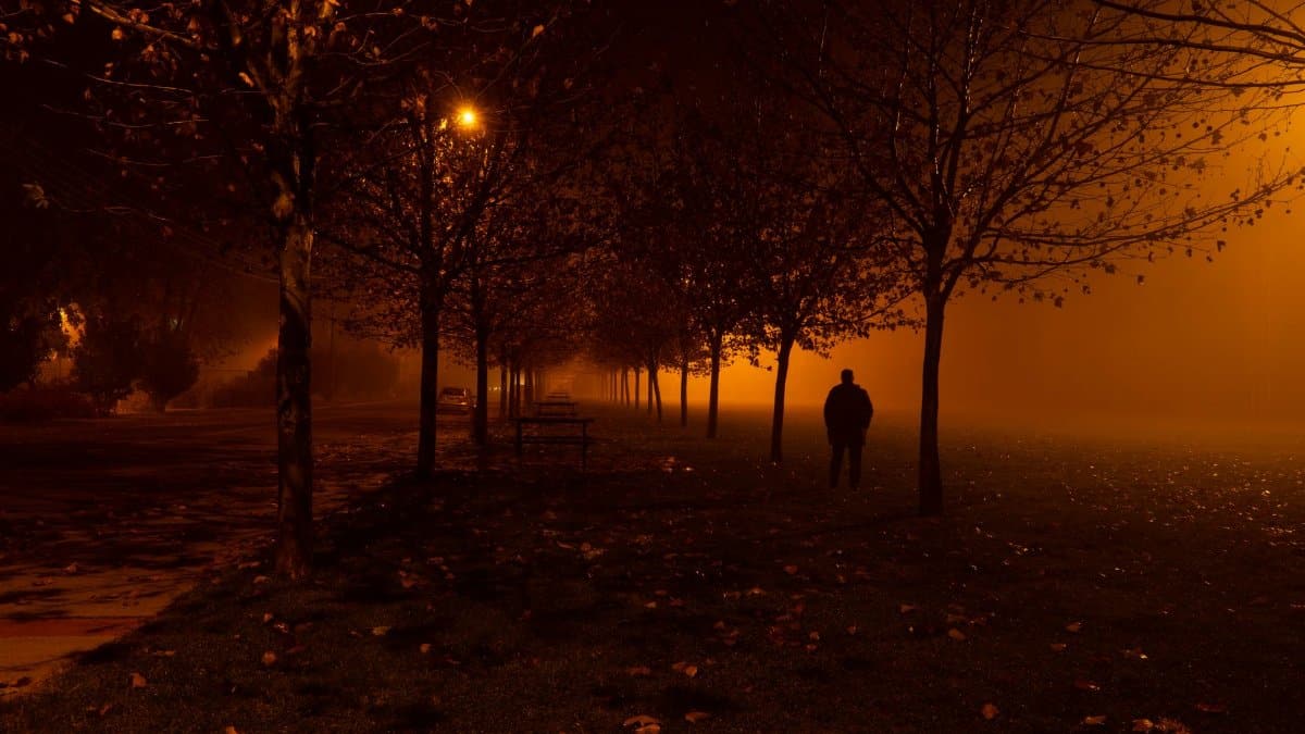 A solitary figure walks through a foggy, leaf-strewn park at night under warm streetlights.