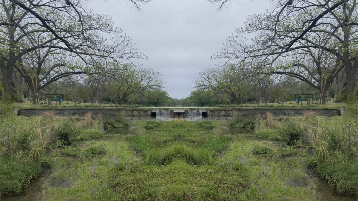 Peaceful riverside landscape with trees, grass, and flowing water in a serene natural setting.