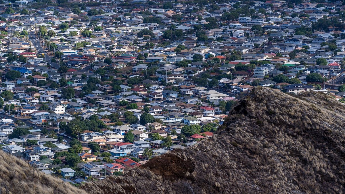 Aerial perspective of Honolulu's residential neighborhood, showcasing urban landscape.