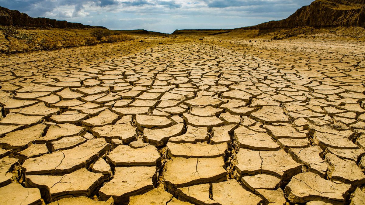 Dramatic view of cracked dry earth in Maracaibo, Venezuela, depicting climate change and drought effects.