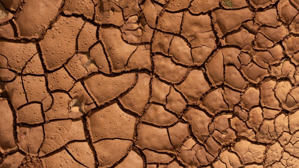 Close-up of dry, cracked earth with detailed texture and warm sunlight highlighting the patterns.