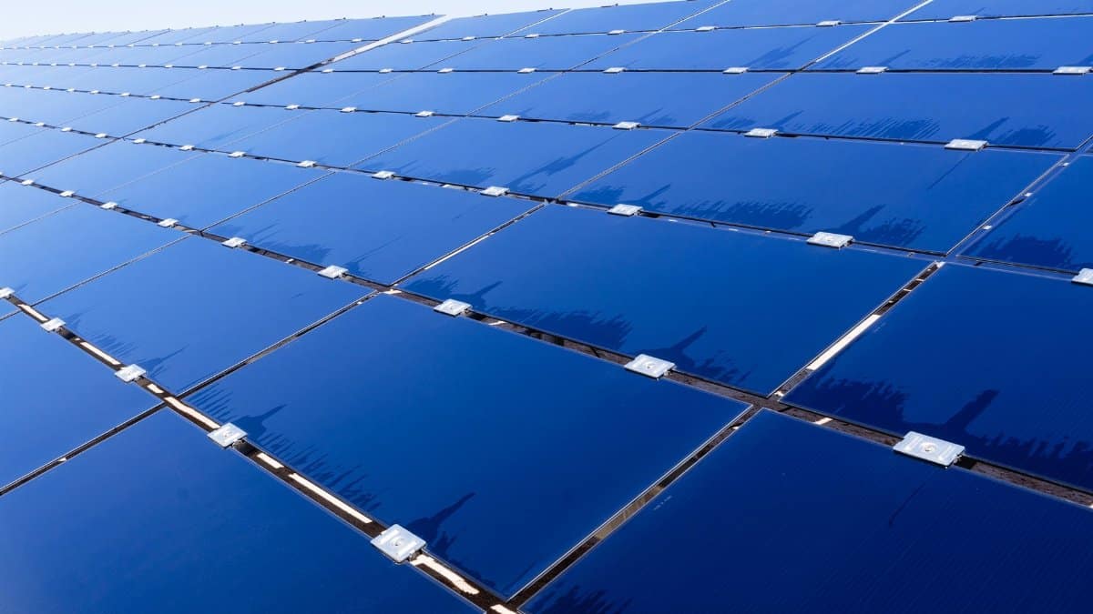 Wide view of solar panels under clear sky, showcasing renewable energy technology.