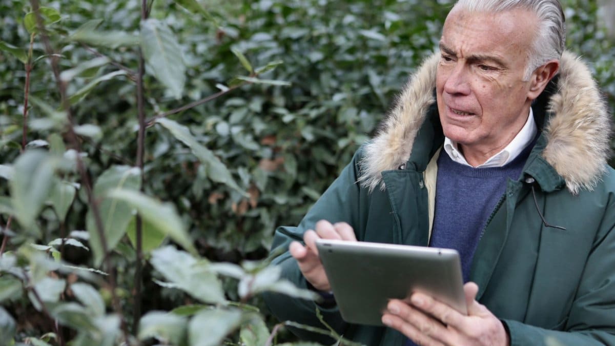 Elderly man engaging with a tablet in a lush, green outdoor setting.