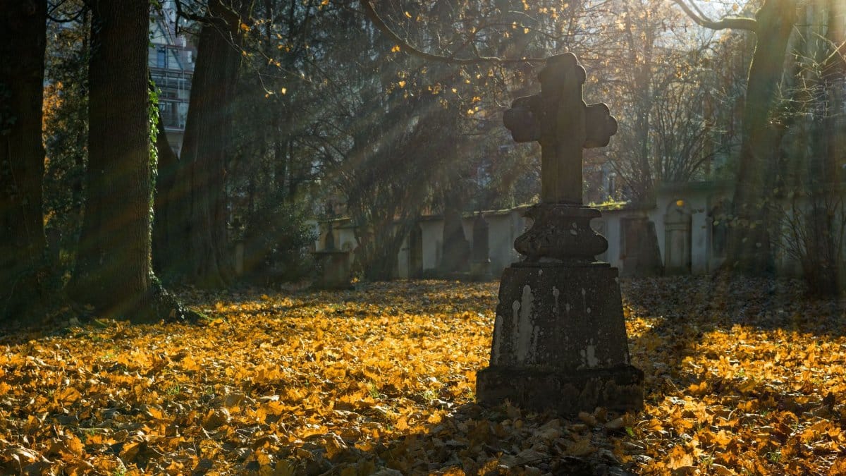 A cross monument in a cemetery surrounded by fallen autumn leaves with sunrays filtering through trees.