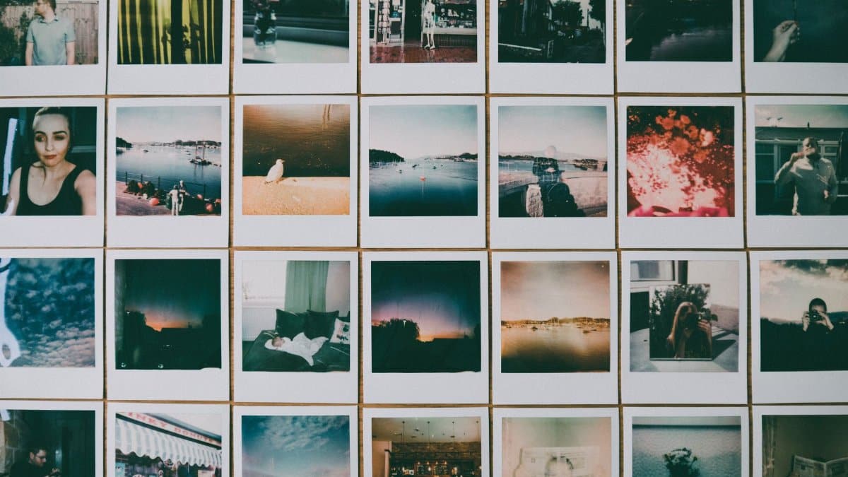 Aesthetic collage of vintage-style photographs with multiple themes and subjects.
