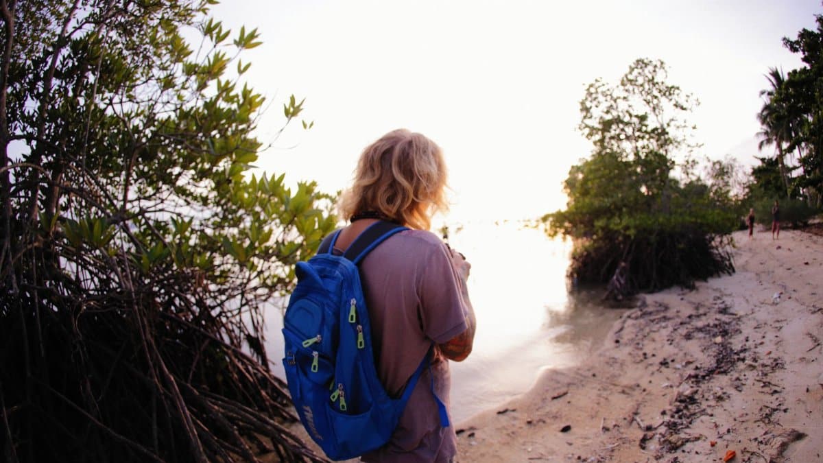A solo backpacker explores a tropical beach at sunset, surrounded by lush mangroves.