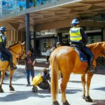 Two mounted police officers on patrol in a bustling urban street area.