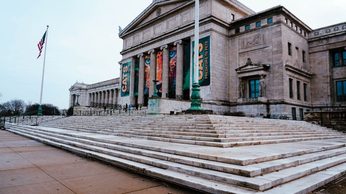 Wide-angle view of the Field Museum's entrance in Chicago showcasing the 'Cats' exhibition posters.