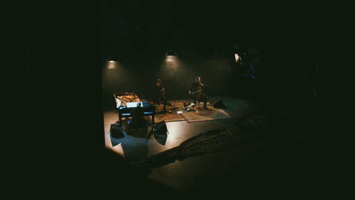 Musicians performing live at a dimly lit indoor concert with instruments