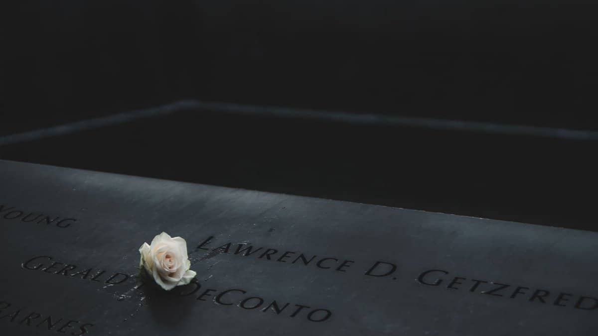 A single white rose rests on engraved names at the 9/11 Memorial in New York City.