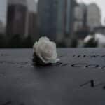A white rose placed on the 9/11 memorial in New York City, symbolizing remembrance and grief.