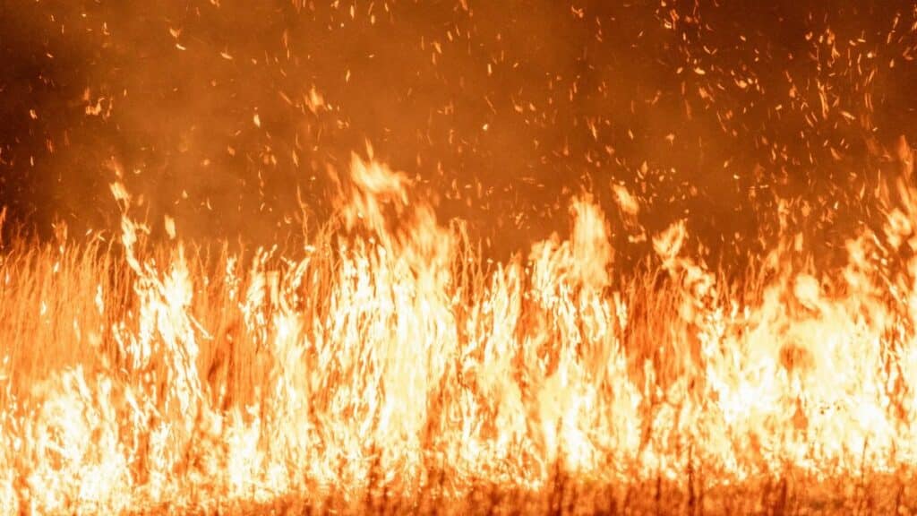 Intense flames and smoke rise from a grass fire during twilight, creating a dramatic scene.