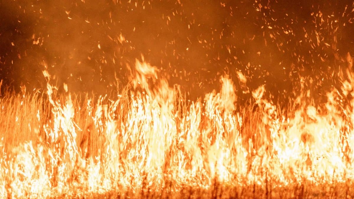 Intense flames and smoke rise from a grass fire during twilight, creating a dramatic scene.