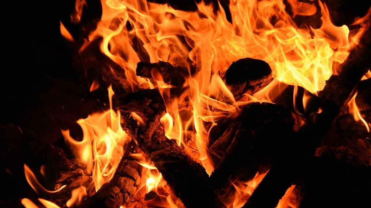 Captivating image of vivid flames engulfing a bonfire at night, showcasing heat and fiery colors.