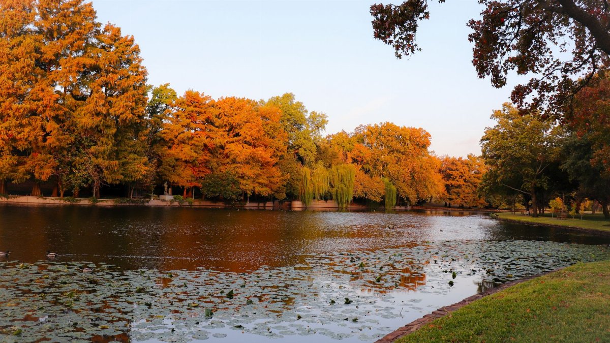 Picturesque autumn scene with vibrant foliage reflected in a serene Texas lake.