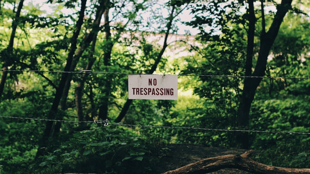 A 'No Trespassing' sign amidst lush green forest, conveying restriction and privacy.