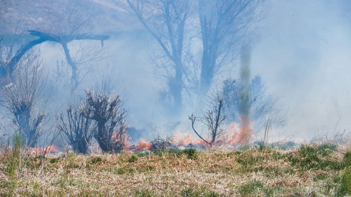 A wildfire with smoke and flames engulfing brush in a woodland area in Poprad, Slovakia.