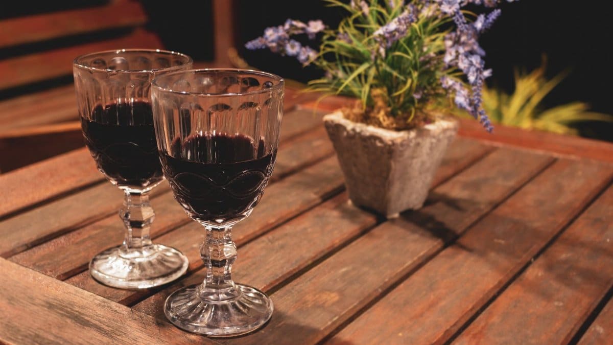 A serene outdoor scene with two wine glasses and a lavender plant on a wooden table, perfect for a cozy evening.