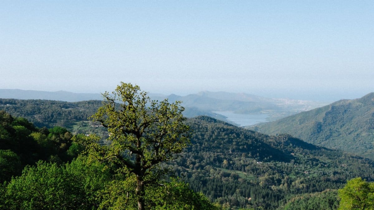 Breathtaking mountain and valley view in Ayn Darahim, Tunisia captured on clear day
