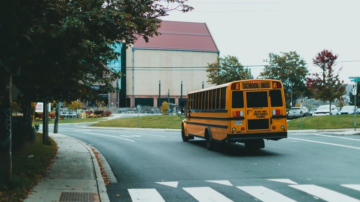 A yellow school bus driving on a tree-lined urban street in autumn.
