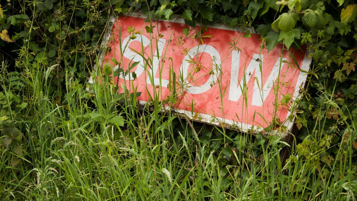 A dilapidated 'Slow' traffic sign surrounded by lush vegetation in England.