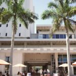 Vibrant University of Miami campus scene with students near Otto G. Richter Library.