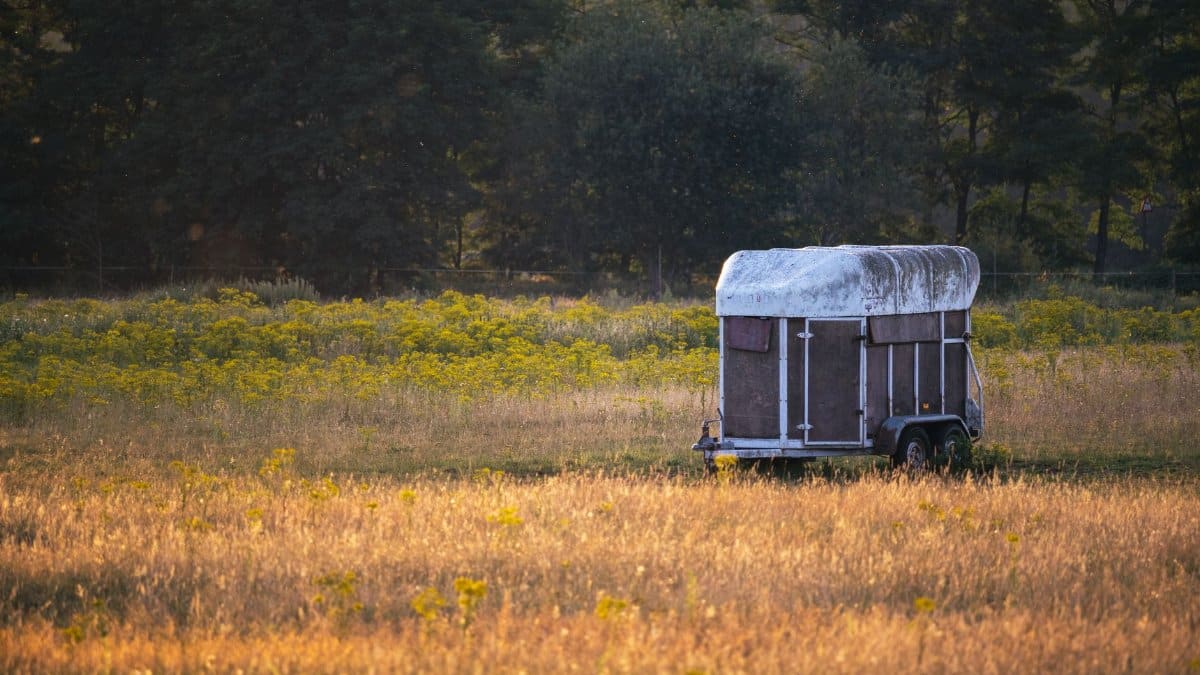 A scenic rural landscape featuring an abandoned trailer in a sunlit meadow.
