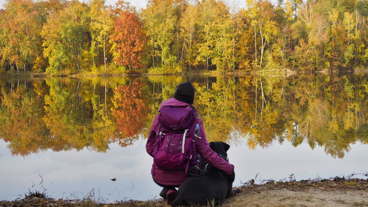 A person and dog enjoying the vibrant autumn colors by a tranquil lake in Czechia.
