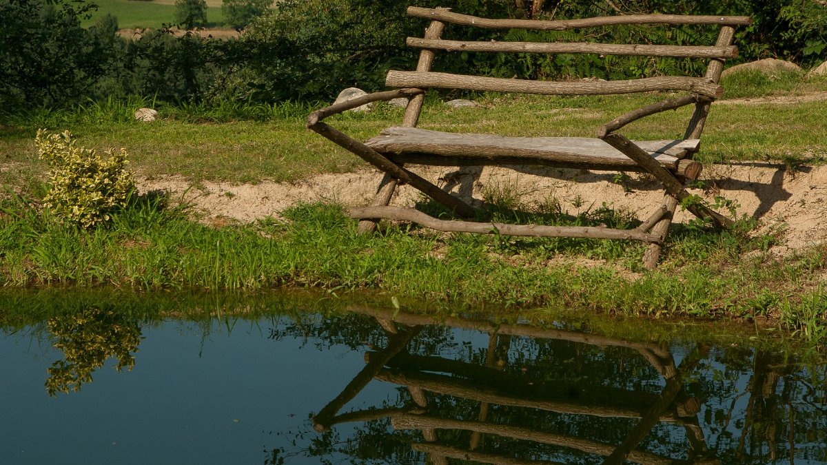 A rustic wooden bench overlooking a serene pond with clear reflections in a lush outdoor setting.