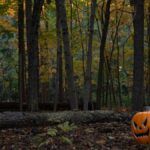 Spooky Halloween pumpkin in a colorful autumn forest, perfect for fall themes.