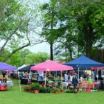 A bustling outdoor market with colorful tents and visitors in Whitehouse, Texas.