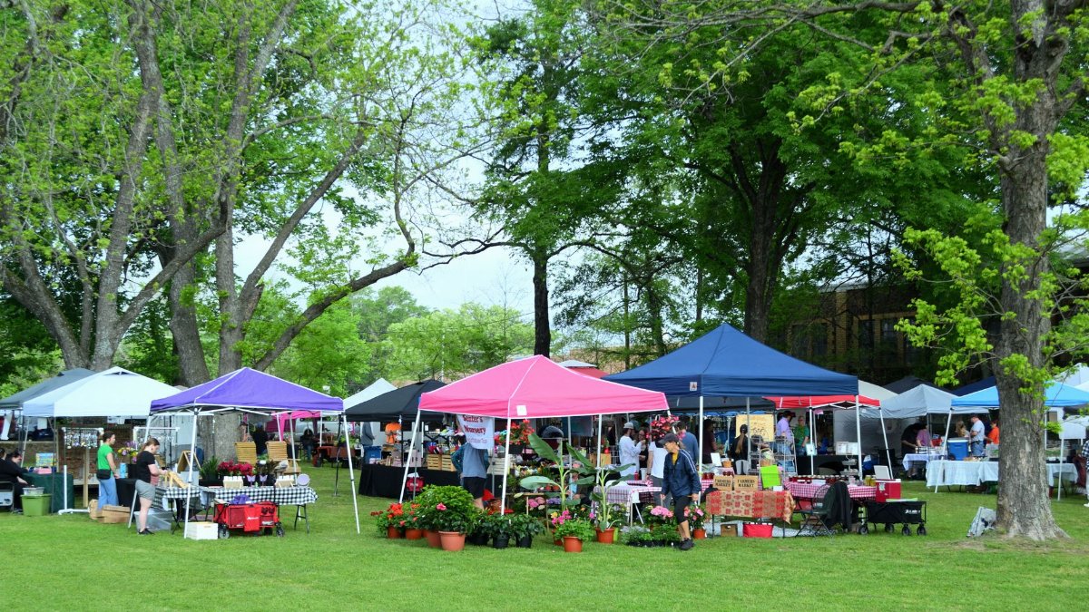 A bustling outdoor market with colorful tents and visitors in Whitehouse, Texas.