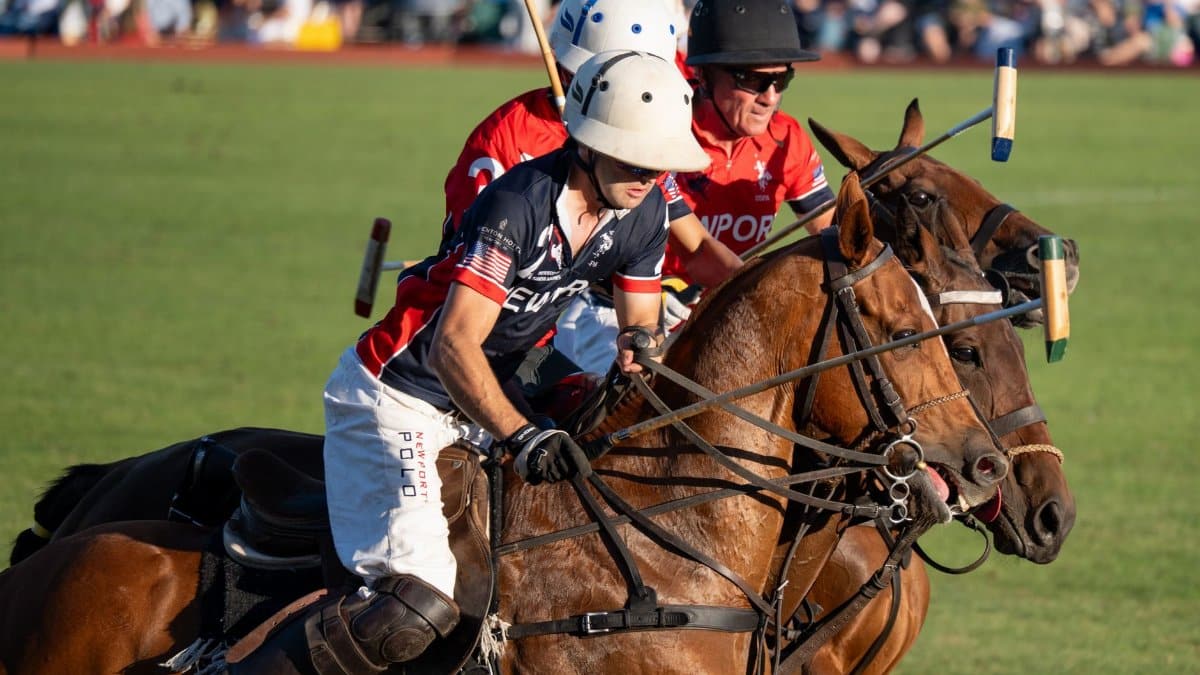 Exciting polo match action captured in Portsmouth, showcasing teamwork and equestrian skill.