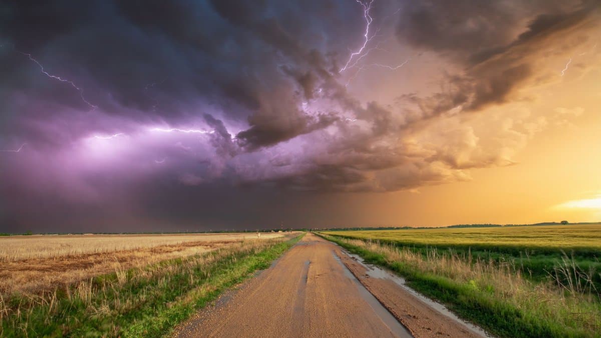 Stunning photo of a thunderstorm with lightning over a wheat field and dirt road in Oklahoma.