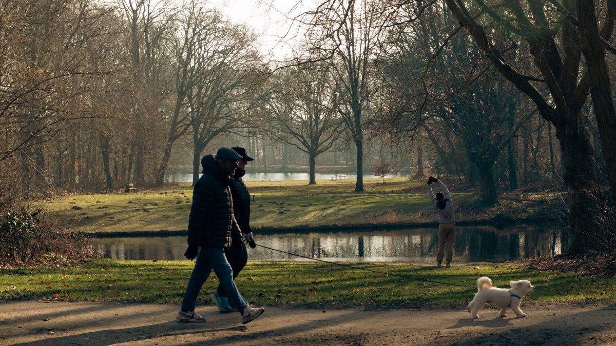 A serene park scene in Den Haag with people walking and a dog playing by the pond.