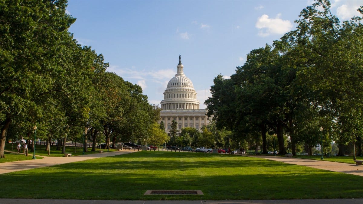 The iconic United States Capitol dome framed by lush green trees on a sunny day.